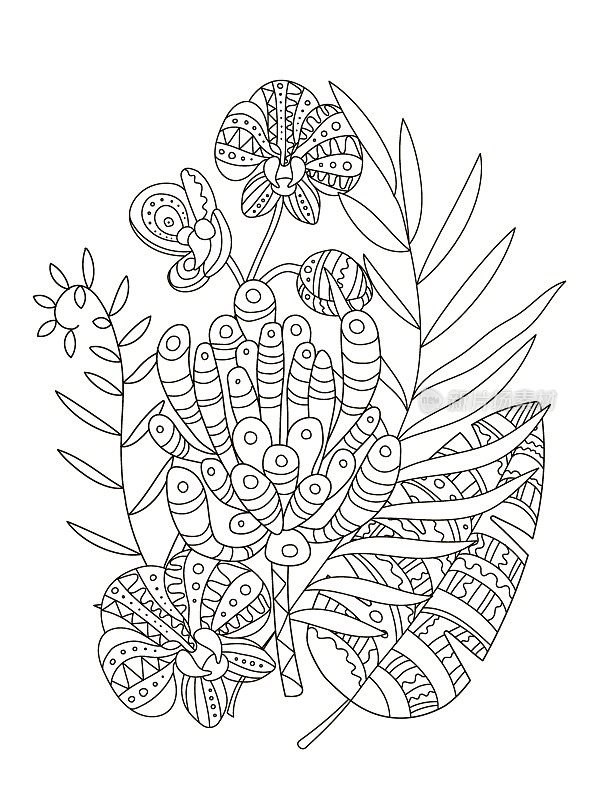 为儿童和成人手绘着色页。一个美丽的图案与小细节的创意。抗压力着色书，热带花卉，怪兽，手掌。趋势回归主题