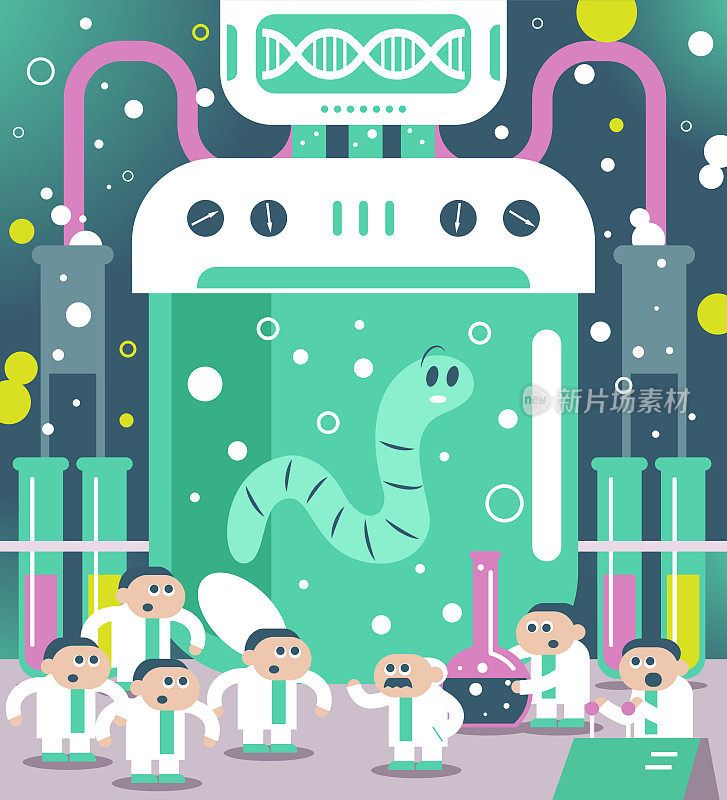 科学家们在实验室里饲养了一只巨大的粉虫