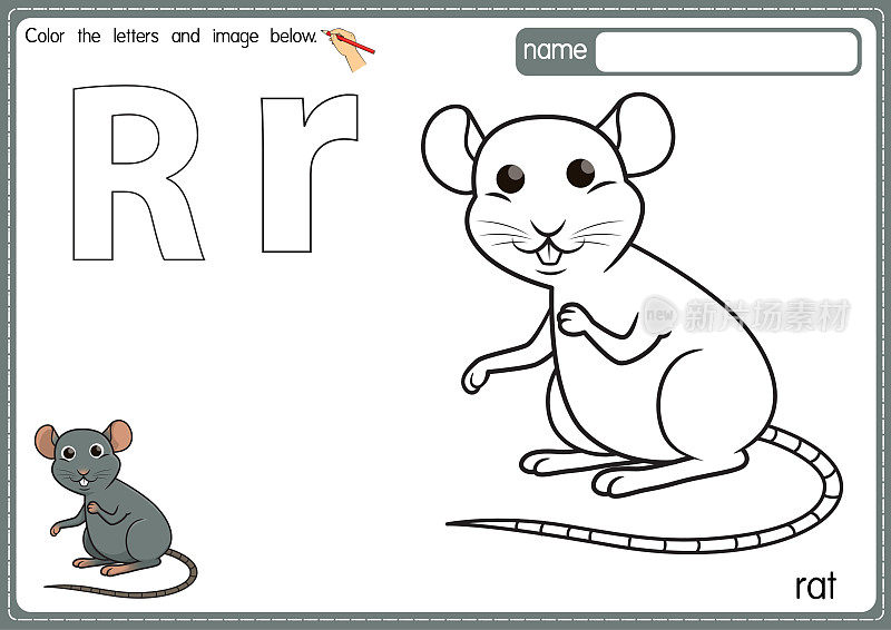 矢量插图的儿童字母着色书页与概述剪贴画，以颜色。字母R代表老鼠。