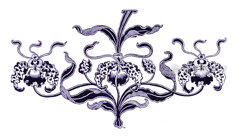 1898年为装饰紫罗兰兰花画的新艺术设计元素