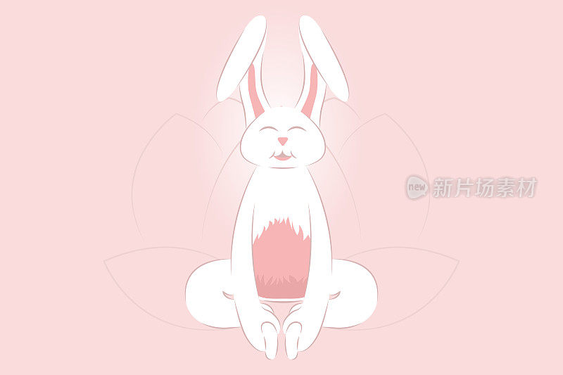 兔子练习瑜伽，弓式，弯曲角度