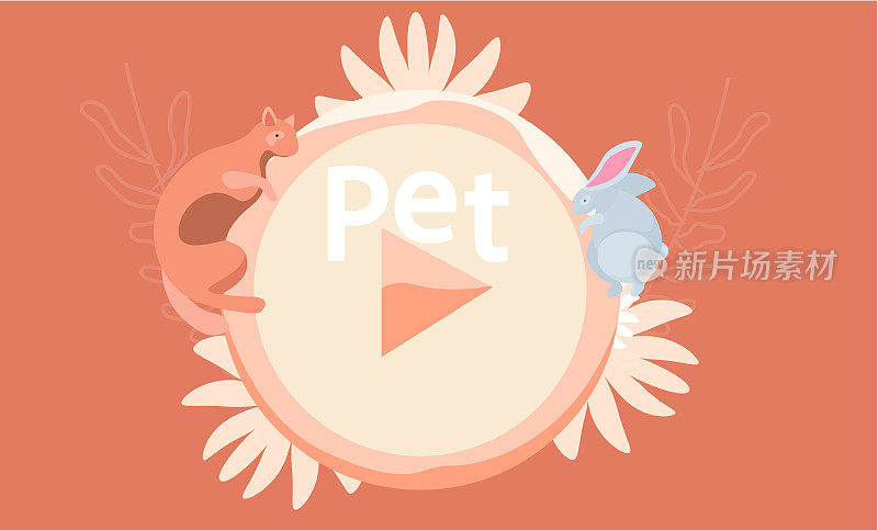 宠物护理的概念。关于家养动物的视频频道，关于喂养猫和野兔的博客