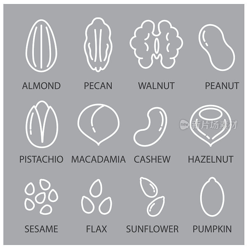 坚果，种子和豆类图标设置。包括图标为杏仁，核桃，芝麻，烤，榛子，腰果，葵花籽，南瓜籽，亚麻，澳洲坚果。