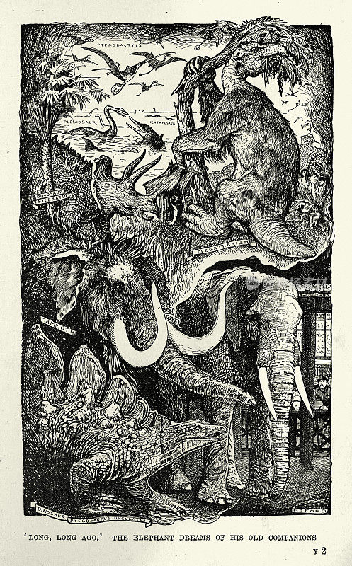 动物园里的大象梦见猛犸象和恐龙，维多利亚时代的动物故事，19世纪