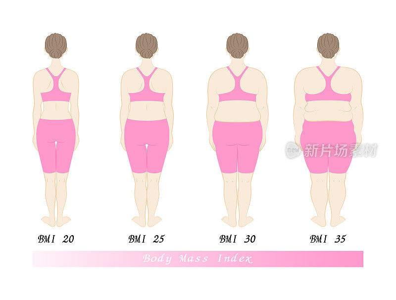 节食前后。体型随体重指数变化。女性后视图。插图。向量。
