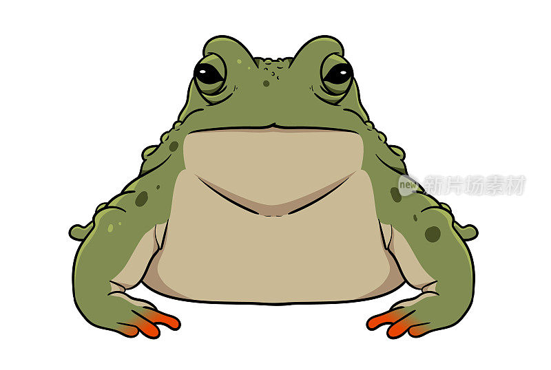 青蛙头像艺术卡通动物形象艺术动物园吉祥物