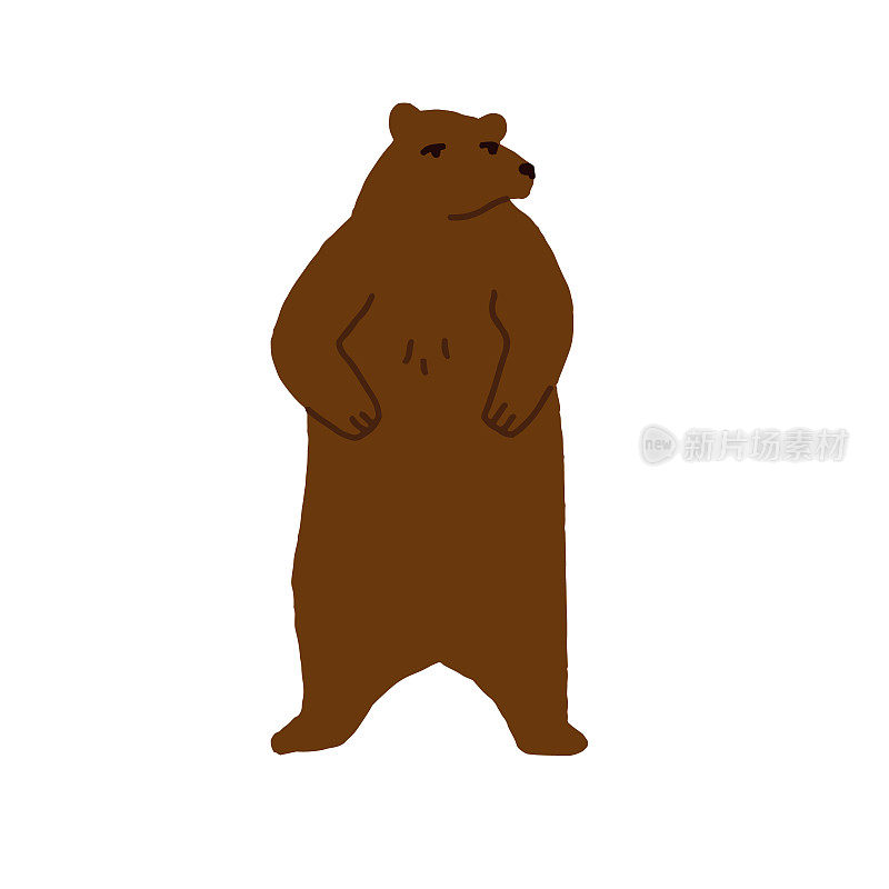 一只灰熊后腿站立，望向远方。大型棕熊，野生动物矢量孤立插图。