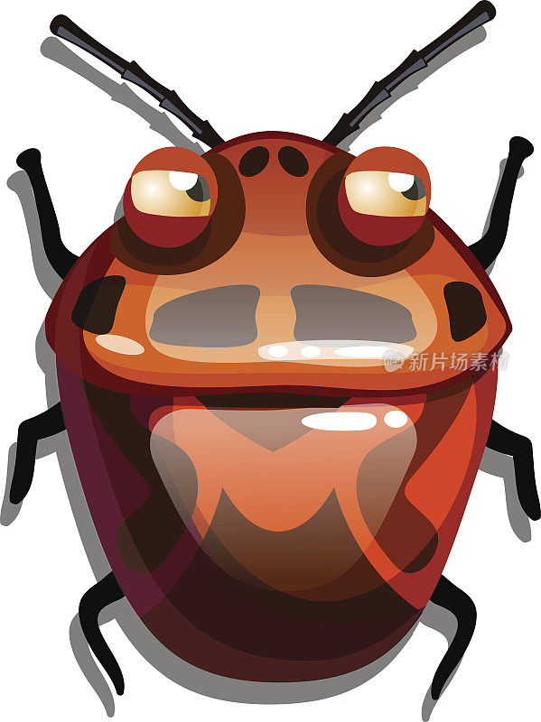 红甲虫
