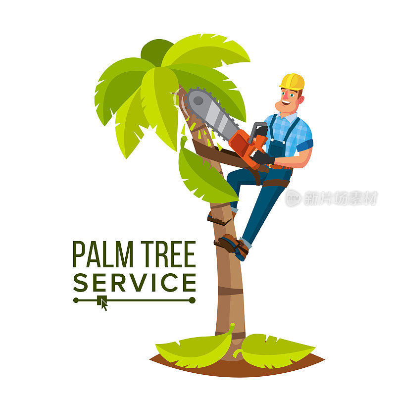 棕榈树服务向量。专业的人。修剪树木或移除树木修剪。孤立的平面卡通人物插图