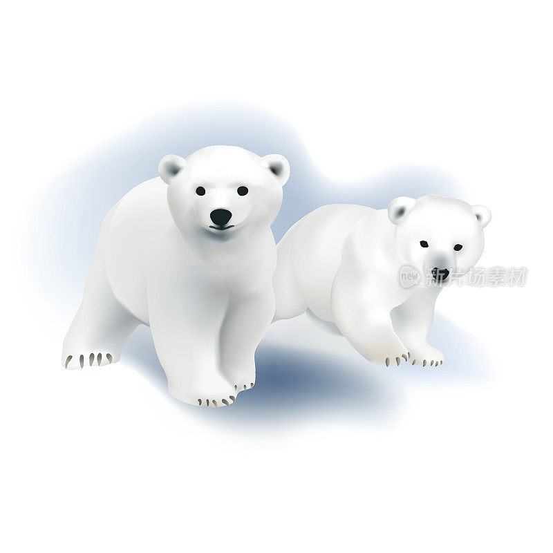 北极熊幼崽。