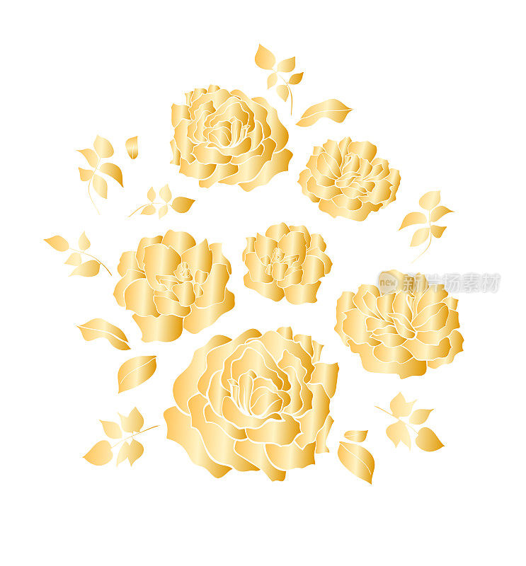花卉设计，矢量插图集手绘。金色梯度花园玫瑰花和叶子，优雅的花束孤立在白色的背景。