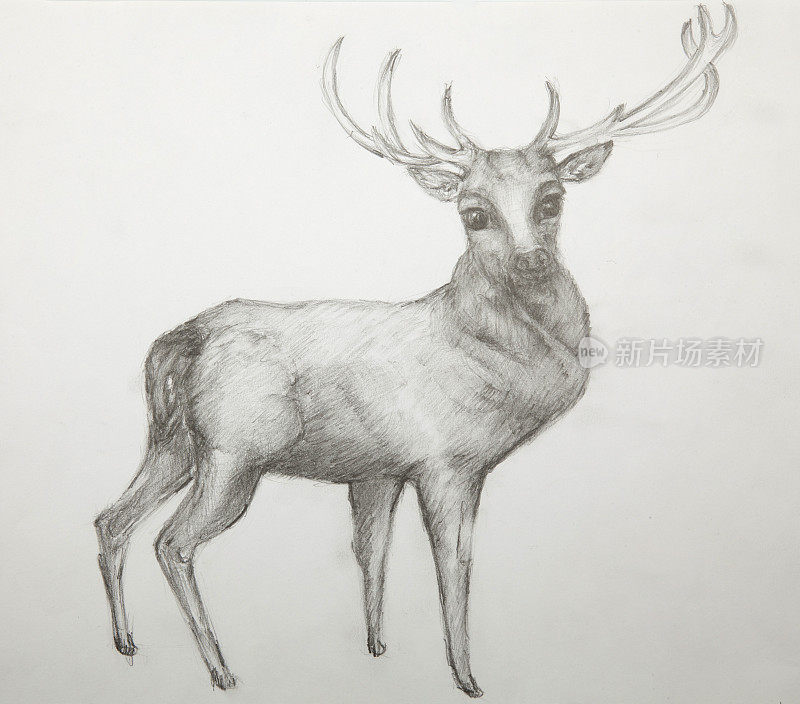 christmas-deer画