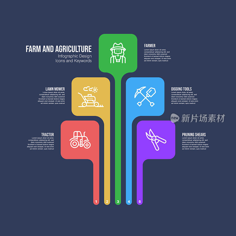 与农场和农业关键字和图标的信息图表设计模板