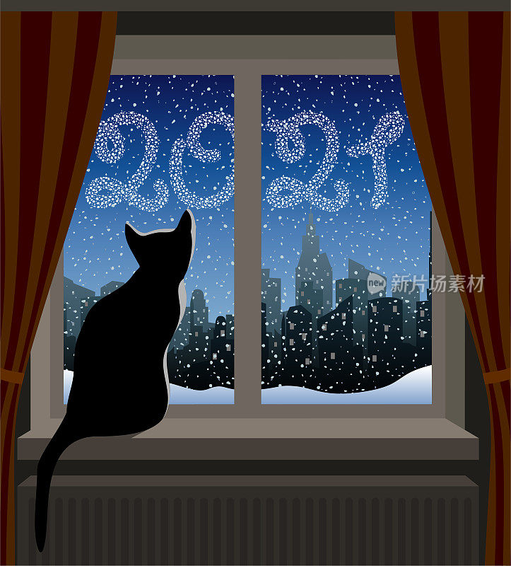看冬城的猫。新2021年