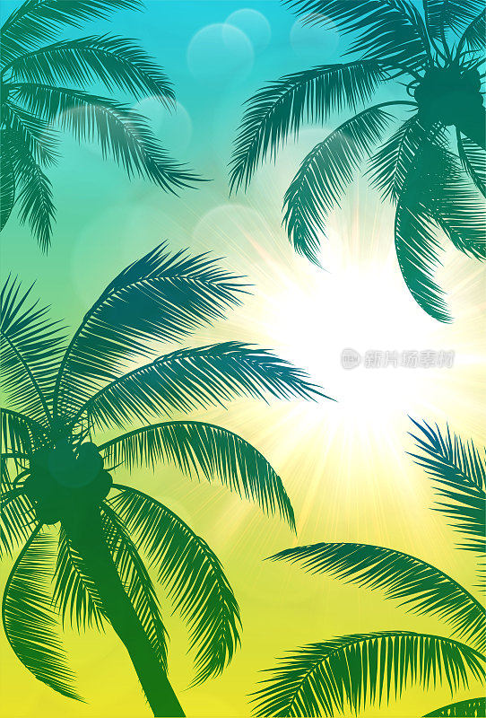 棕榈树和太阳绿色的背景