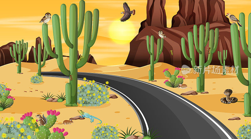 道路穿越沙漠的森林景观与沙漠动物的场景