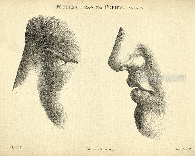 画耳朵，鼻子和嘴，维多利亚流行人物画副本19世纪