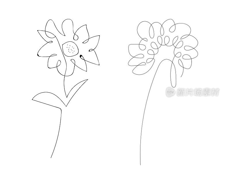 向量集抽象装饰线艺术手绘植物隔离在白色花朵图标插图收集