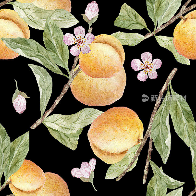 无缝模式。树枝上的桃子。水彩背景。
