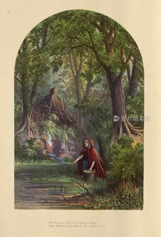 一个老妇人在树林里采集草药，维多利亚时代的艺术，19世纪
