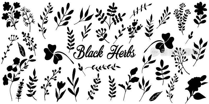 Black-herbs-set