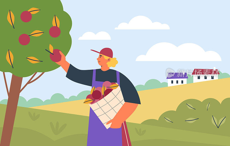 农民或园丁在果园的树上摘苹果平面矢量插图。