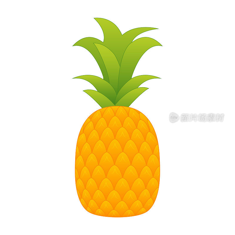 菠萝插图。