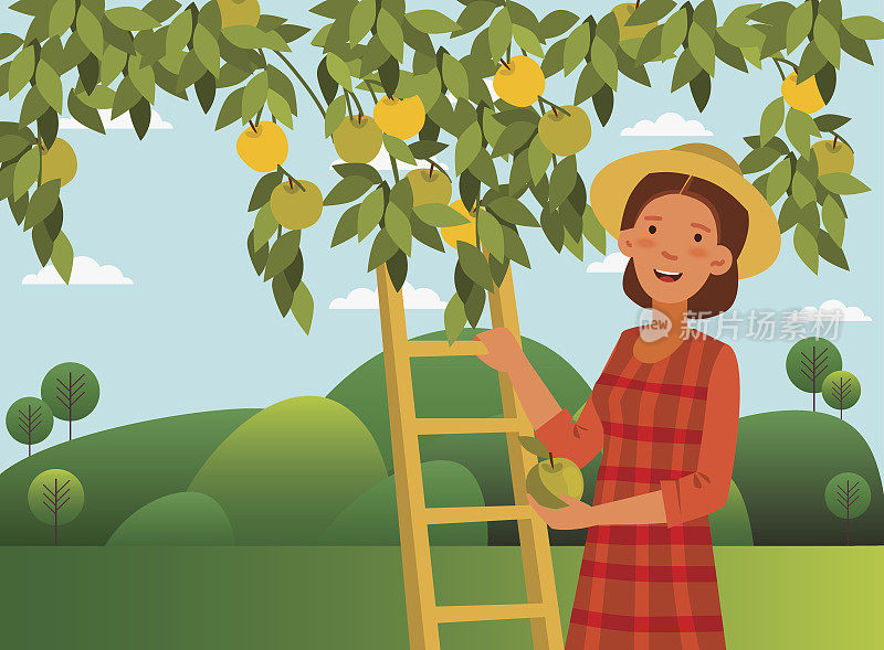 一个年轻女子在花园里从树上摘苹果