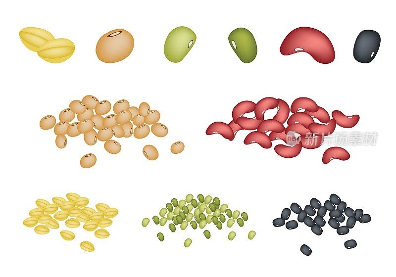 不同的豆子在白色的背景