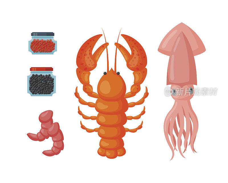 龙虾和鱿鱼矢量平面插图