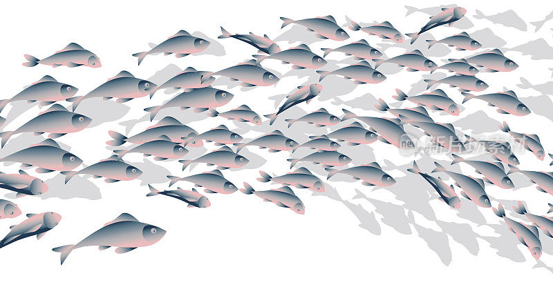 学校的鱼矢量插图为标题，网页，打印，卡片和邀请。大量的鲱鱼或鳕鱼在海里游动。