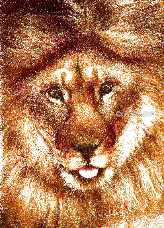 狮子显示了舌头。