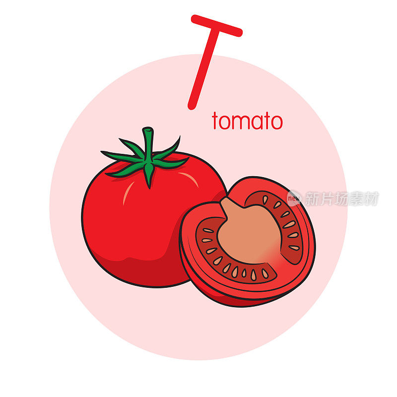 向量番茄插图与字母T大写字母或大写字母的儿童学习练习ABC