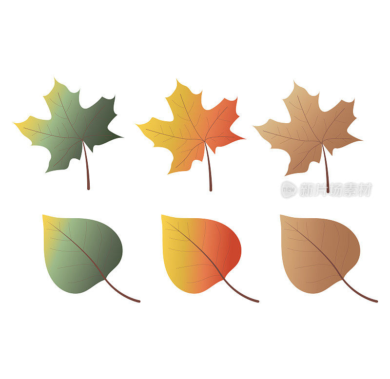 收集五颜六色的秋叶。秋天温暖明亮的色彩插画