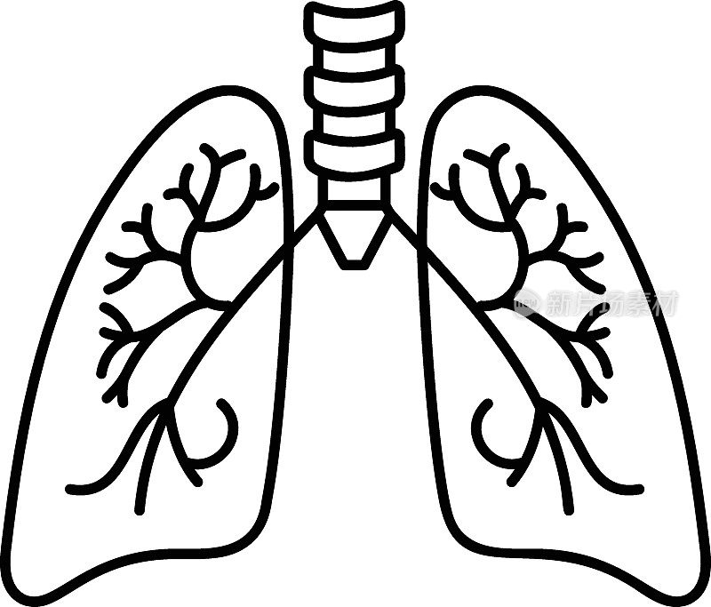 人类肺部概念，呼吸系统矢量轮廓图标设计，器官系统符号，人体解剖学标志，人体部分库存插图