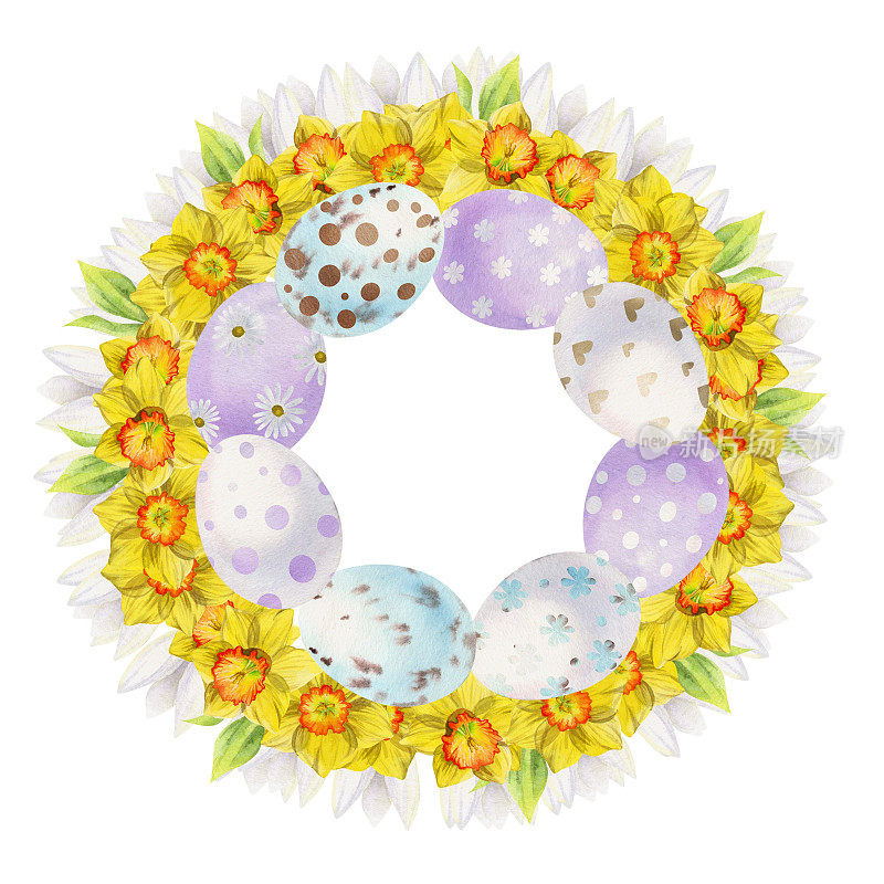 水彩手绘复活节庆祝剪纸。用鸡蛋、兔子、水仙番红花、树叶围成花环。孤立在白色背景上。邀请函，礼物，贺卡，印刷品，纺织品