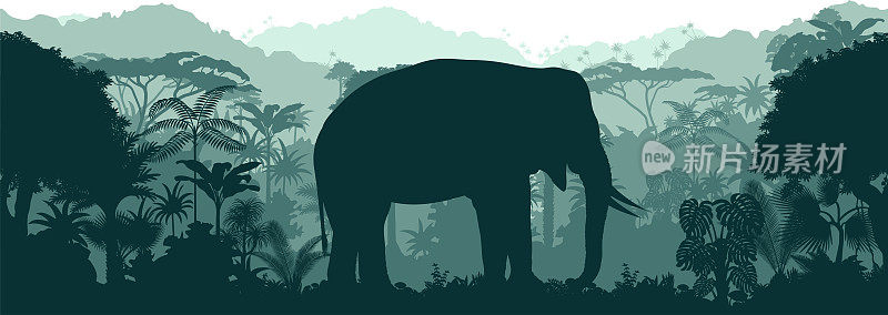 矢量水平无缝热带雨林丛林背景与非洲大象