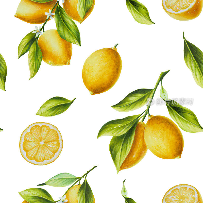 水彩无缝模式与新鲜成熟的柠檬与鲜绿色的叶子和花朵。手绘切柑橘片画在白色背景。为设计师，明信片，派对邀请，包装纸，封面。海报及纺织品