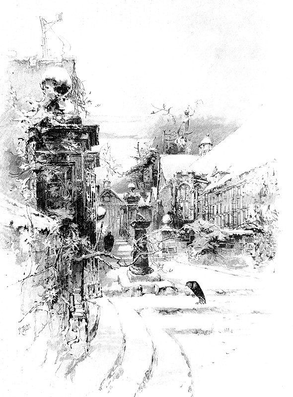 白雪皑皑的街道和楼房，两只乌鸦孤独地坐在雪地里