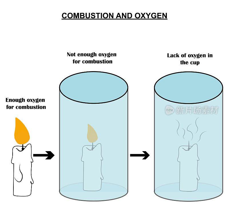 燃烧与氧气的关系。实验证明了氧气在燃烧过程中的必要性。