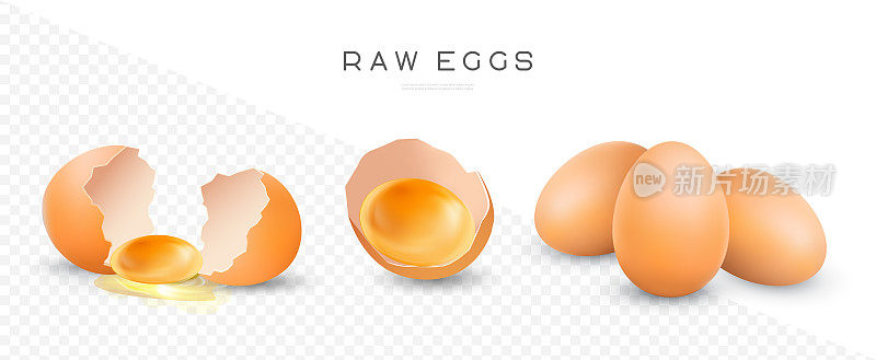 生鸡蛋矢量隔离图。完整的和破碎的棕色新鲜鸡蛋。蛋壳里的蛋黄