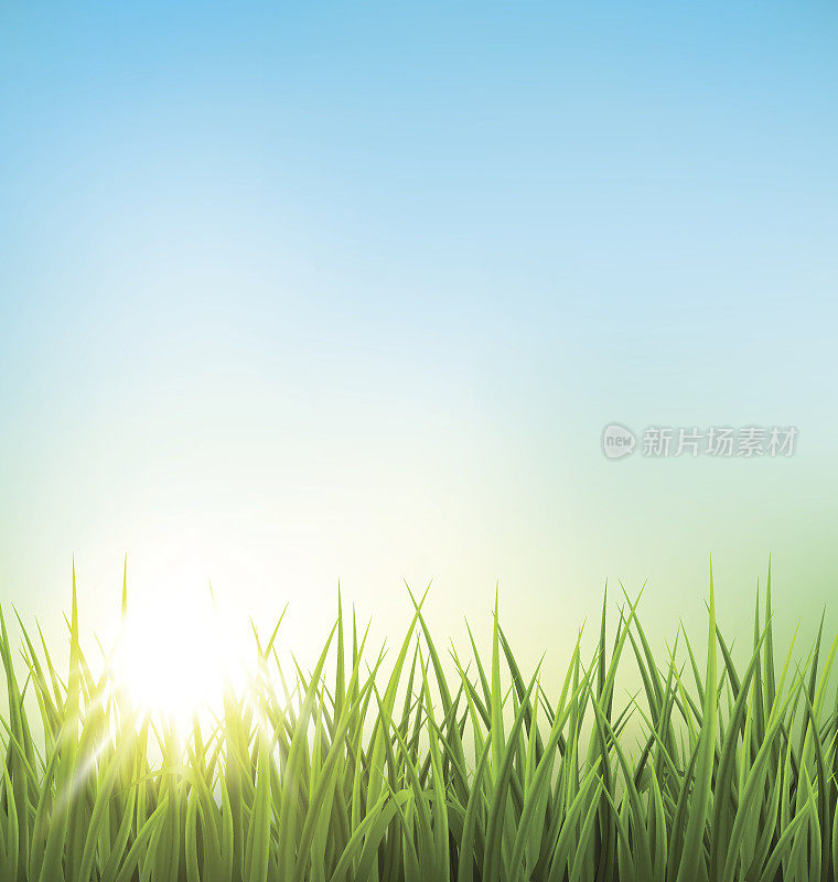 碧绿的草地和日出的蓝天