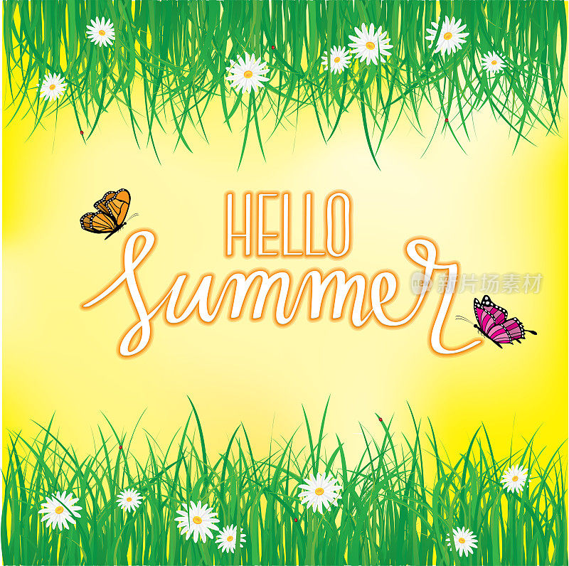 你好，夏天，蝴蝶在花草上面飞舞