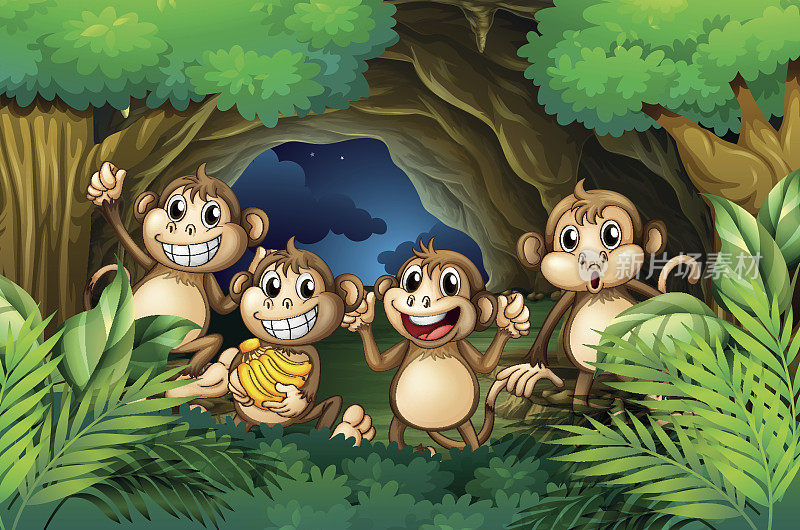 快乐的猴子在森林深处