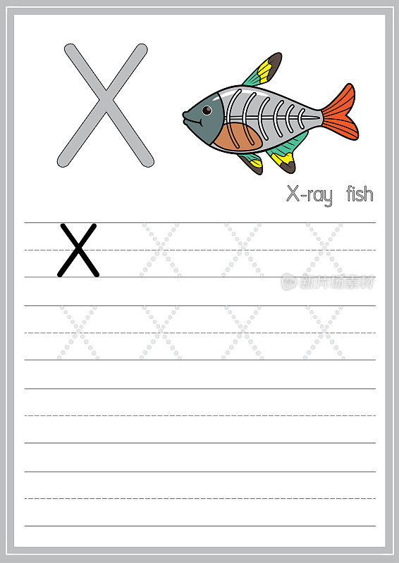 矢量图的x射线鱼孤立在白色的背景。用大写字母X作为教学媒体，供儿童识别英文字母或供儿童学习书写字母用于在家里和学校学习。