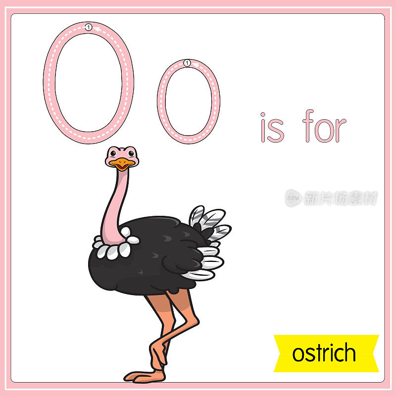 矢量插图学习字母为儿童与卡通形象。字母O代表鸵鸟。