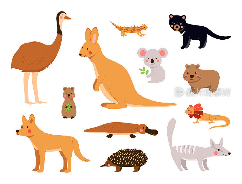 澳大利亚动物在可爱的卡通向量集