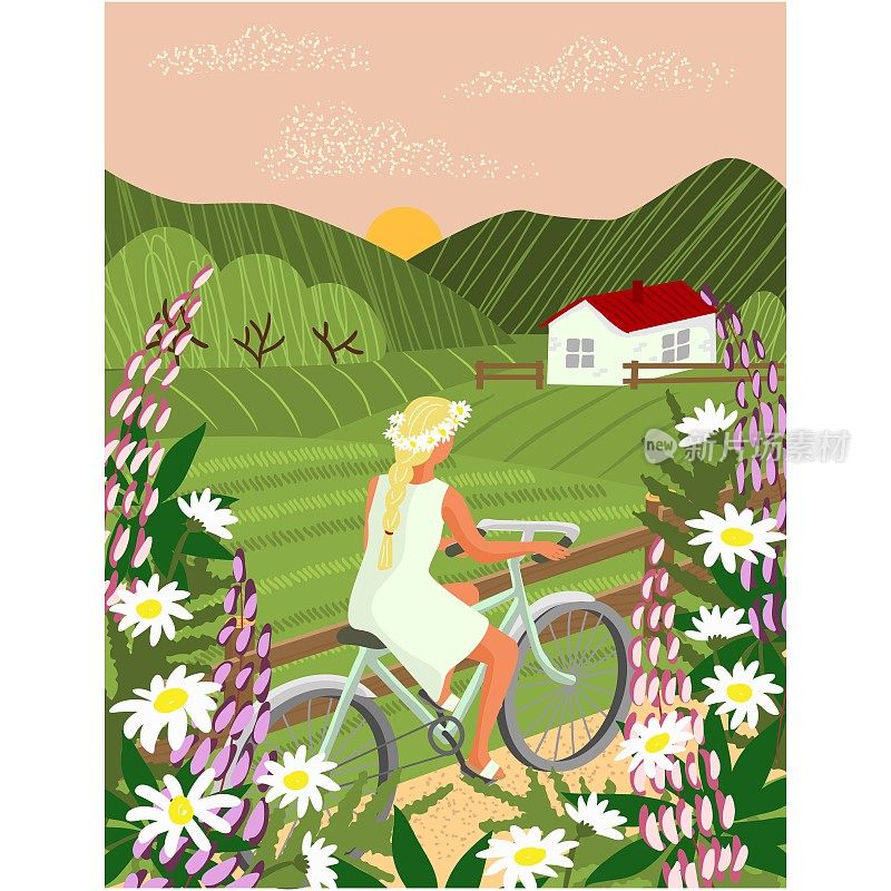 女人骑自行车在夏天的乡村风景