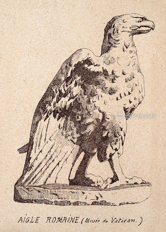 复古插图，素描的罗马鹰，后一个雕像，艺术版画