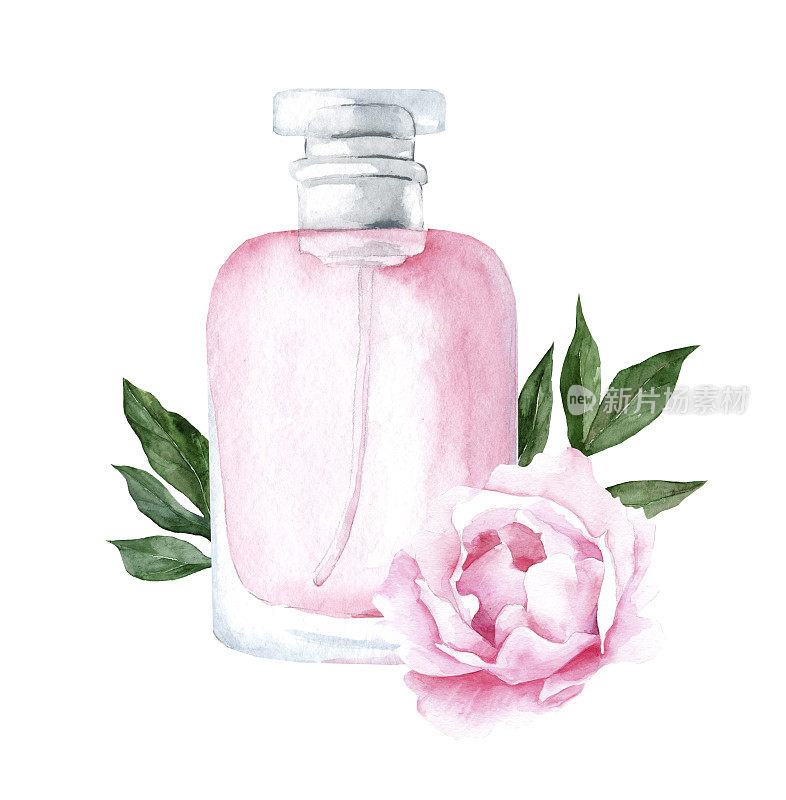 粉红色玻璃香水瓶牡丹花和叶子。水彩手绘插图